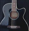 ibanez aeg10bk