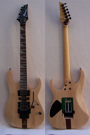 gerald moizan ibanez rg custom