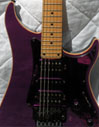 Vigier excalibur